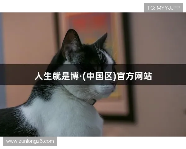 尊龙z6人生就是博网页最新版本下载地址分享让你轻松获取最新游戏资源