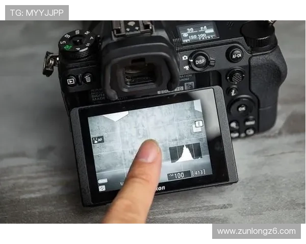 尊龙z6app在手机端的优化体验与操作界面详细解析