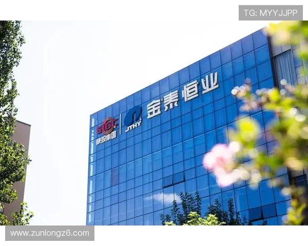 尊龙集团登录入口网址2024年最新官方入口地址及操作流程详解