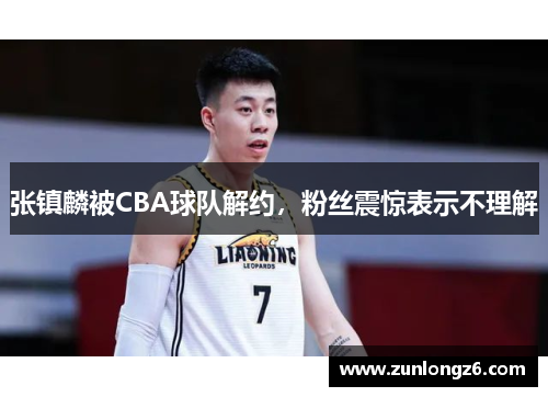 张镇麟被CBA球队解约，粉丝震惊表示不理解